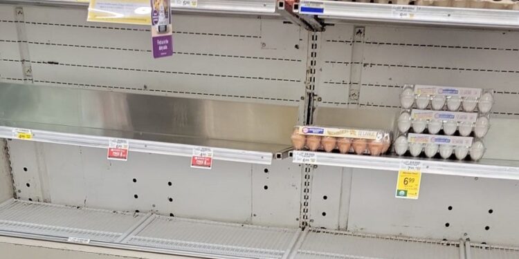 La razón por la que Estados Unidos enfrenta una grave escasez en la producción de huevos