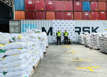 Cae en España una de las mayores bandas de narcotráfico, con ramificación en Latinoamérica