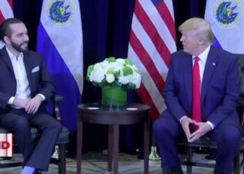 Acercamiento entre Trump y Bukele genera reacciones en Centroamérica