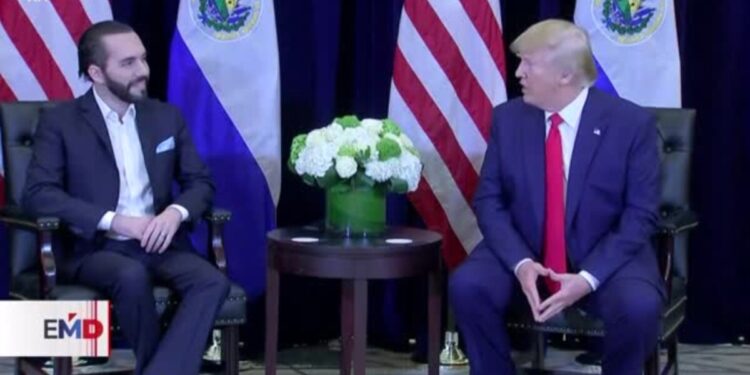Acercamiento entre Trump y Bukele genera reacciones en Centroamérica