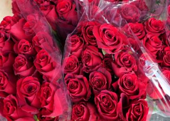 El mes de San Valentín