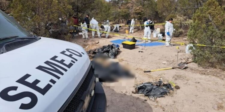 Hallan 56 cadáveres en fosas clandestinas en México cerca de la frontera con EEUU
