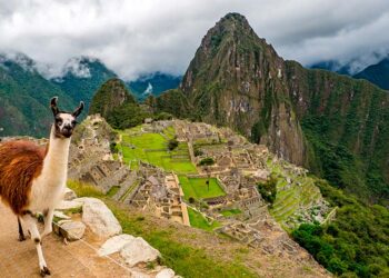 Condenan a cinco años de cárcel a guía de Machu Picchu por colar a un turista por 26 dólares