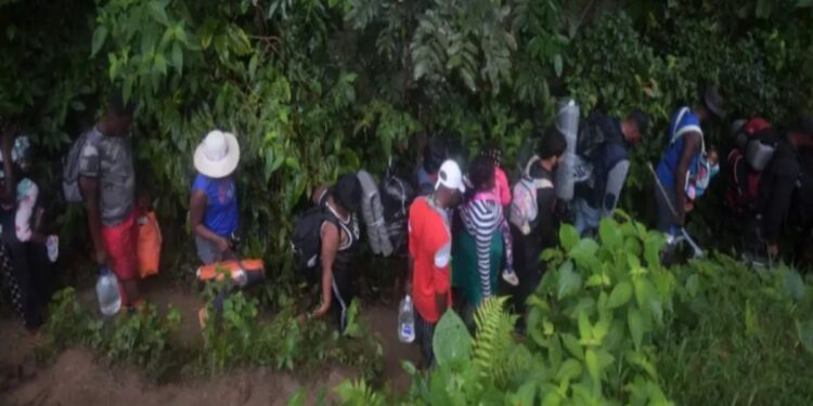 Panamá reporta una reducción de 93% de migrantes por el Darién, hasta el 25 de enero 2025