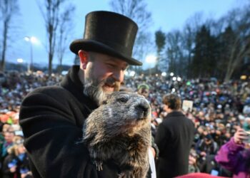 En Pensilvania, la marmota Phil pronostica más invierno para EEUU y nuevamente reúne a miles durante la festividad