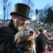 En Pensilvania, la marmota Phil pronostica más invierno para EEUU y nuevamente reúne a miles durante la festividad
