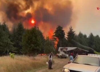 Miles de personas intentan controlar los incendios en la Patagonia argentina