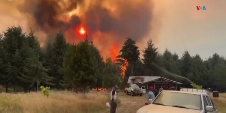 Miles de personas intentan controlar los incendios en la Patagonia argentina