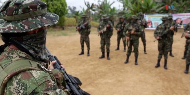 Conflicto armado en el Catatumbo hunde la “paz total” del presidente Petro