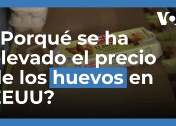 Escasez tras aumento del precio de los huevos en EEUU