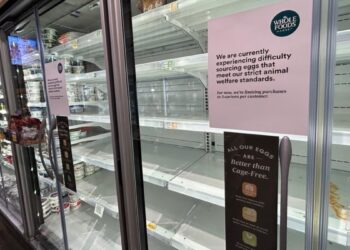 Los estadounidenses sufren el impacto económico de la gripe aviar