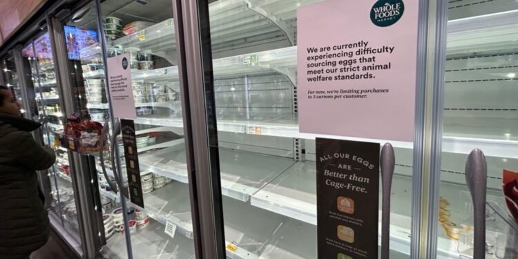 Los estadounidenses sufren el impacto económico de la gripe aviar