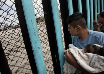 Denuncian estafas a inmigrantes en busca de asesoría legal en EEUU: ¿cómo evitarlo?