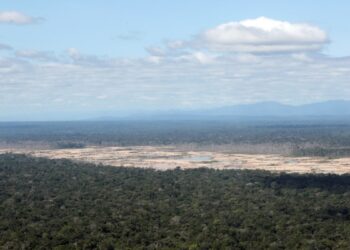 Perú, la lucha contra los delitos ambientales y la ayuda internacional