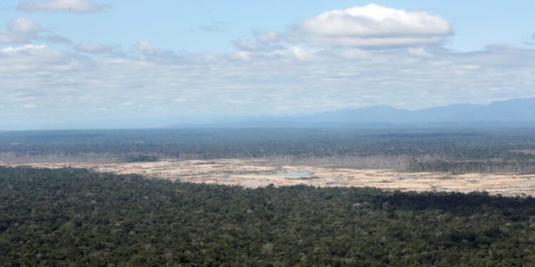 Perú, la lucha contra los delitos ambientales y la ayuda internacional