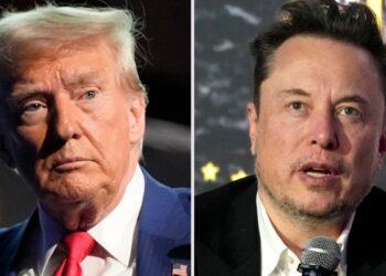 Senadores demócratas protestan por el acceso de personal de Musk a información secreta