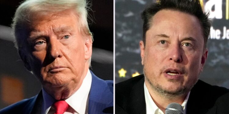 Senadores demócratas protestan por el acceso de personal de Musk a información secreta