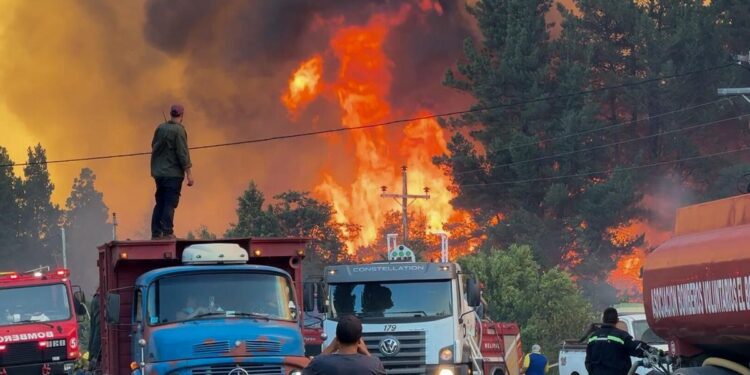 Incendios forestales en la Patagonia Argentina: 37.100 hectáreas arrasadas y la lucha continúa
