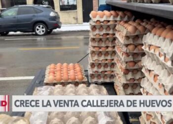 Crece la venta callejera de huevos en las calles de Chicago