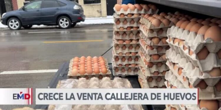 Crece la venta callejera de huevos en las calles de Chicago