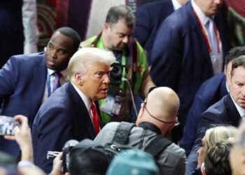 Trump dice que espera que Musk encuentre miles de millones en despilfarros del Pentágono