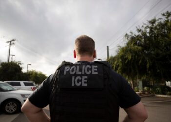 Redadas contra migrantes irregulares, especialmente con antecedentes criminales, continúan con detenciones