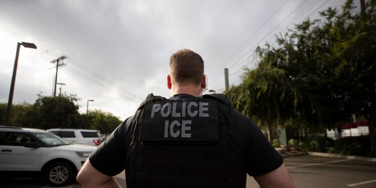 Redadas contra migrantes irregulares, especialmente con antecedentes criminales, continúan con detenciones