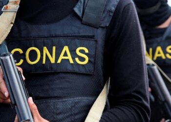 Operativo militar en Guárico: Abatido miembro del Tren del Llano