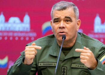 Padrino López aseguró que se han incautado «más de 100 toneladas de drogas desde 2022 en frontera con Colombia»