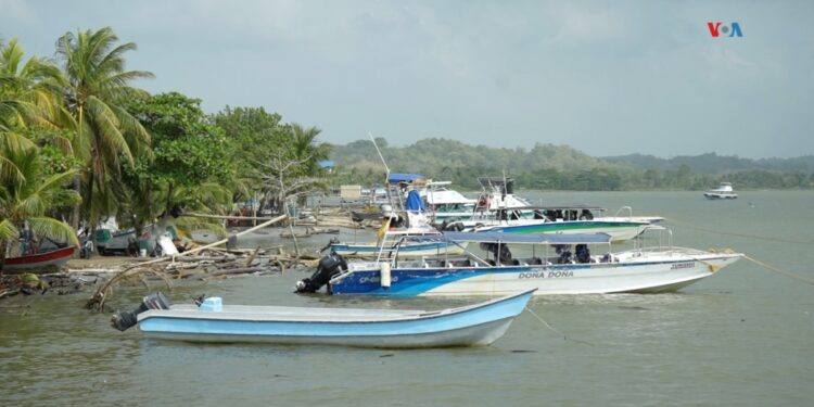 Puerta de entrada al Darién, Necoclí, se queda sin migrantes tras medidas de Estados Unidos