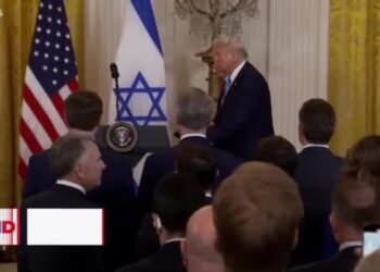 Relatora de ONU equipara desplazamiento de gazatíes con crimen internacional