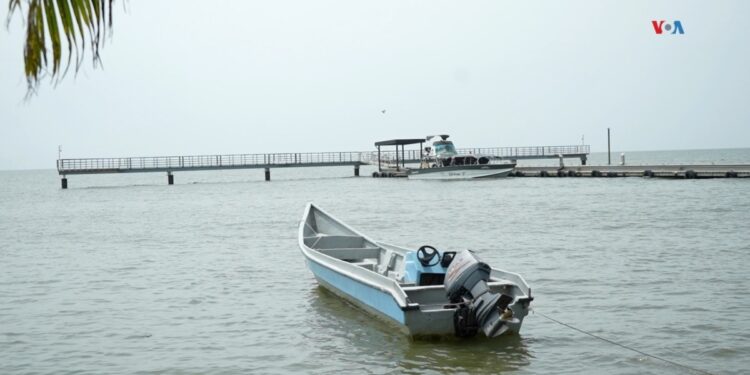 El Darién ya no es el paso de miles de migrantes en camino a la frontera sur de EEUU