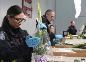 Aeropuerto de Miami recibe 940 millones de flores antes del Día de San Valentín