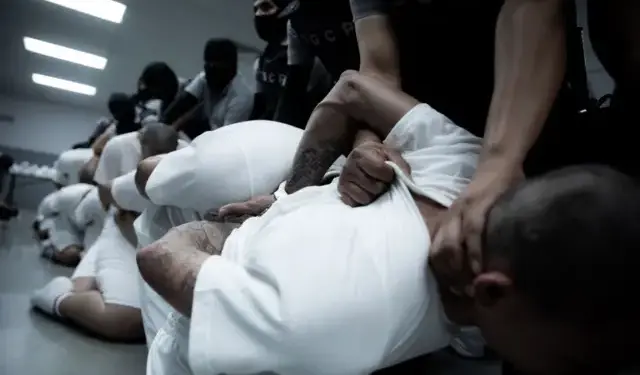 Dataviva: 87% de los venezolanos rechaza deportaciones de migrantes a El Salvador