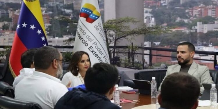 Venezuela evalúa medidas para fortalecer conectividad marítima y reducir dependencia petrolera