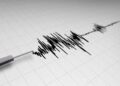 Sismo de magnitud 8 sacude el Caribe de Honduras y declaran alerta por amenaza de tsunami