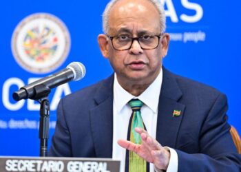 El futuro secretario general de la OEA espera abrir comunicación con Venezuela y Nicaragua