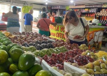 Canasta Alimentaria aumentó un 11,08% su costo en bolívares en el mes de febrero