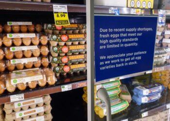 Trump culpa a Biden por el elevado precio de los huevos en Estados Unidos
