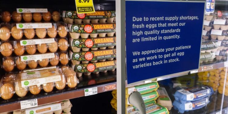 Trump culpa a Biden por el elevado precio de los huevos en Estados Unidos