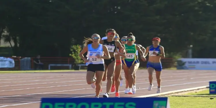 Venezuela obtuvo 12 medallas en Suramericano de Mayores en Argentina