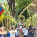 Cientos de personas bajan de Ávila con la palma del Domingo de Ramos