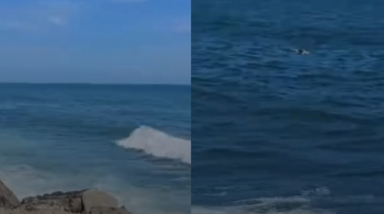 Hallan cadáver flotando en playa de Mare Abajo, en La Guaira