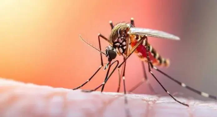 Colombia decretará emergencia por brote de fiebre amarilla