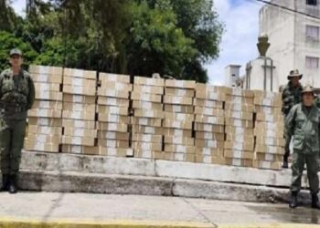 Plan República desplegado para garantizar seguridad en II Consulta Popular Nacional 2025