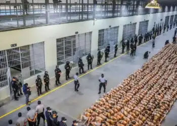 EEUU estima que los migrantes enviados a El Salvador deben permanecer allá «toda su vida»