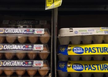 El precio de los huevos sube a máximos históricos en EEUU