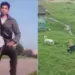Venezolano pierde sus brazos tras ser atacado por una manada de perros en Colombia
