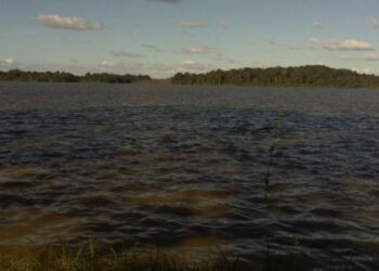 Ataque de pirañas en un embalse del estado Bolívar dejó al menos 17 personas heridas