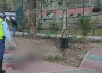 Tras 65 días de agonía, murió vigilante que intentó acariciar a un león en estado de ebriedad